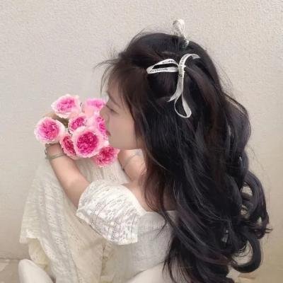 冬狮(电视剧)