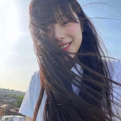 新安妮日记
