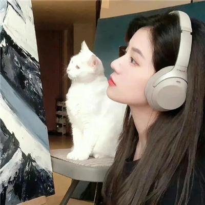 窥探者